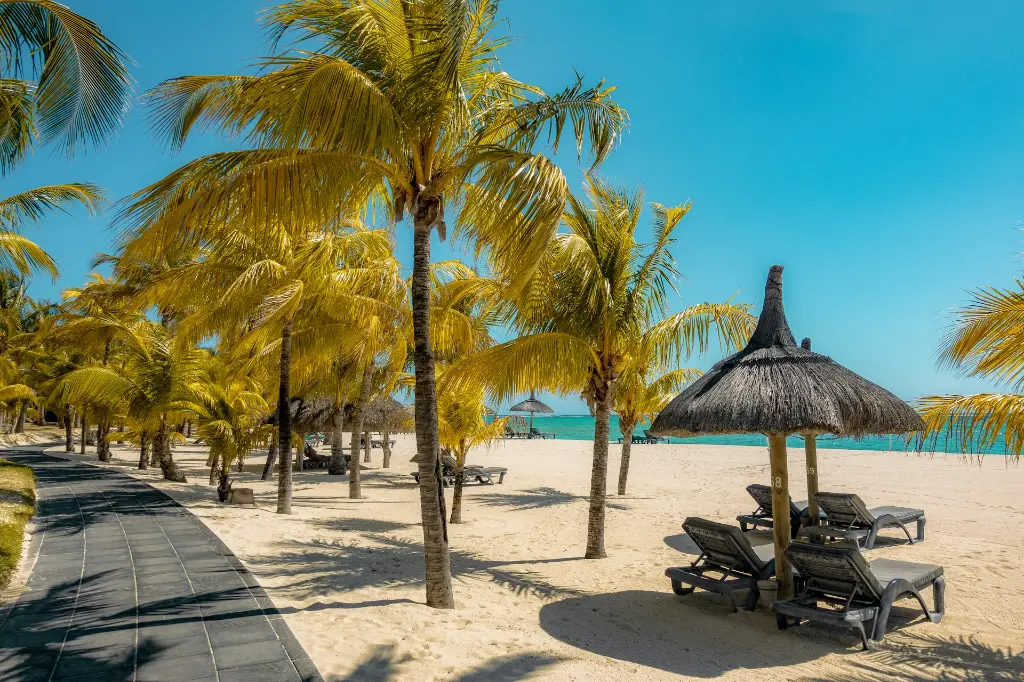 unsplash_REz1OCM2fmY_Mauritius.jpg.jpg.jpg.webp