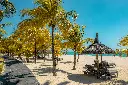 unsplash_REz1OCM2fmY_Mauritius.jpg.jpg.jpg.webp