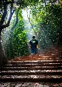 unsplash_PHhux0_nLks_mahabaleshwar.jpg.jpg.jpg.jpg.jpg.jpg.webp