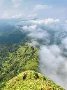unsplash_TtPOAGEF8M0_mahabaleshwar.jpg.jpg.webp