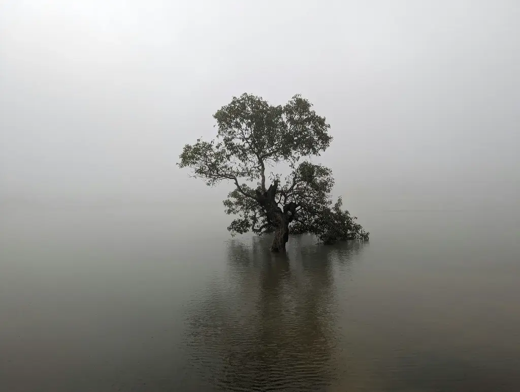unsplash_xt2jIRJE1wY_lonavala.jpg.jpg.webp