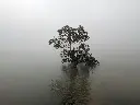 unsplash_xt2jIRJE1wY_lonavala.jpg.jpg.webp