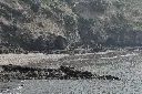 unsplash_pm30R0Nt_hI_alibaug.jpg.jpg.jpg.jpg.webp