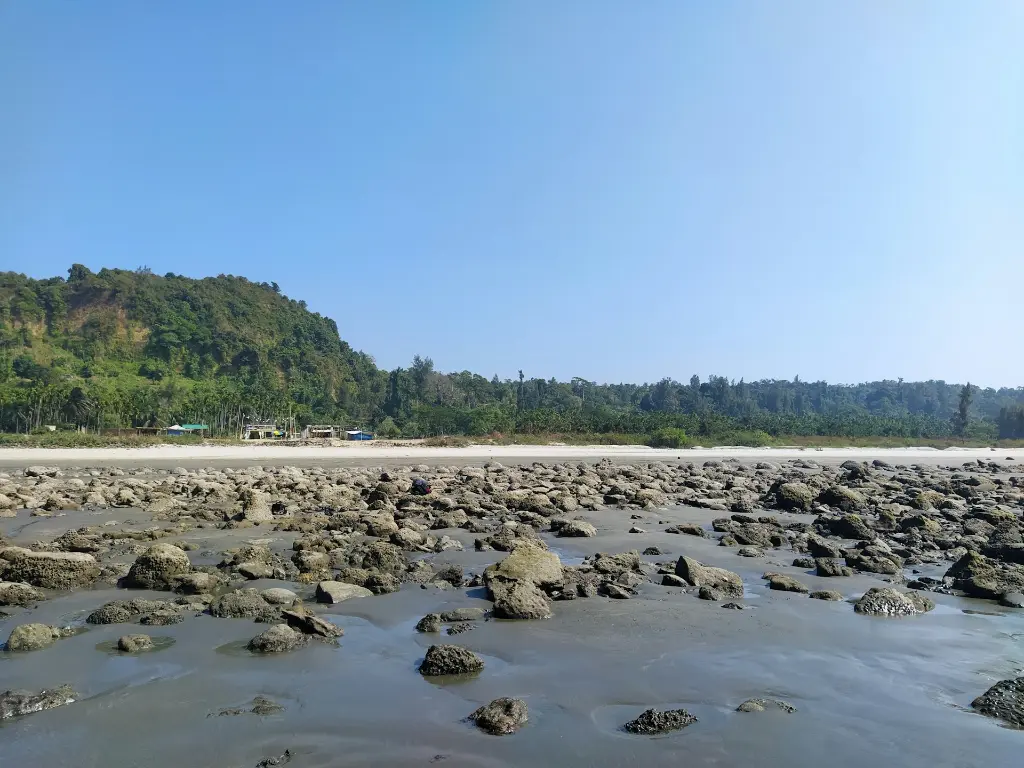 unsplash_DC24yZycC9o_alibaug.jpg.jpg.jpg.webp