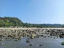 unsplash_DC24yZycC9o_alibaug.jpg.jpg.jpg.webp