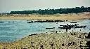 unsplash_06Op_rN83ao_alibaug.jpg.jpg.webp