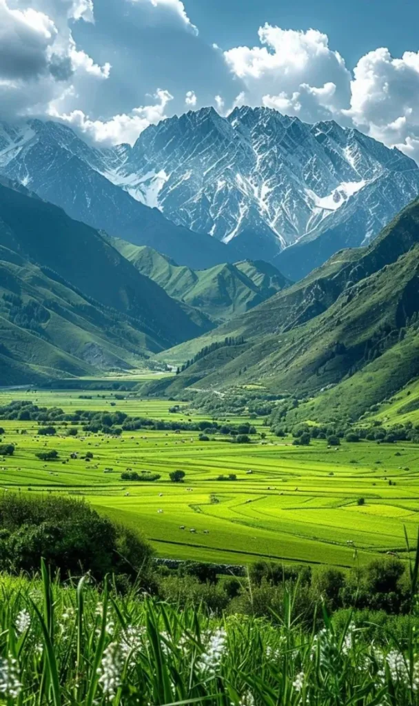 Kashmir Package [5D/4N]