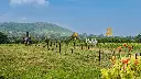 unsplash_e91ayB6WT2s_trimbakeshwar.jpg.jpg.jpg.jpg.jpg.webp