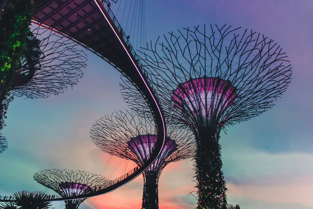 unsplash_c53HvA-blYQ_SINGAPORE.jpg.jpg.jpg.jpg.jpg.jpg.jpg.jpg.webp