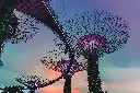 unsplash_c53HvA-blYQ_SINGAPORE.jpg.jpg.jpg.jpg.jpg.jpg.jpg.jpg.webp
