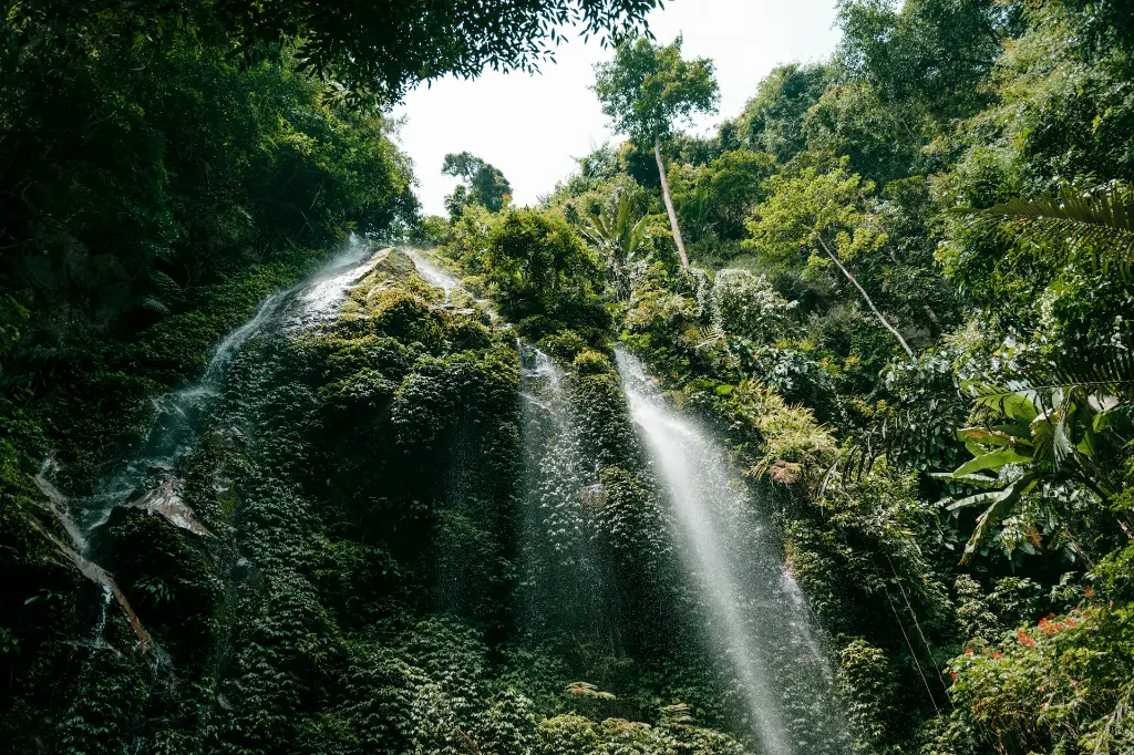 unsplash_D7wMZhkjqVk_MALAYSIA.jpg.jpg.jpg.jpg.jpg.jpg.jpg.jpg.jpg.jpg.jpg.jpg.jpg.webp