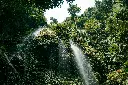 unsplash_D7wMZhkjqVk_MALAYSIA.jpg.jpg.jpg.jpg.jpg.jpg.jpg.jpg.jpg.jpg.jpg.jpg.jpg.webp