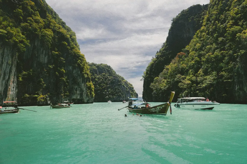 unsplash_5F_c9i3JP0I_Vietnam.jpg.jpg.jpg.jpg.jpg.jpg.jpg.webp