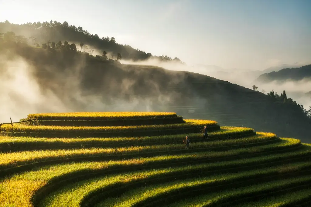 unsplash_PeRt3uMmjYM_Vietnam.jpg.jpg.jpg.webp