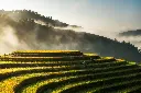 unsplash_PeRt3uMmjYM_Vietnam.jpg.jpg.jpg.webp