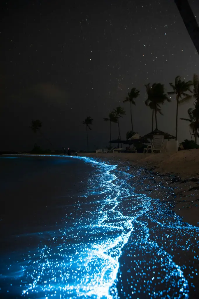 unsplash_Ob_fML_x3F0_Maldives.jpg.jpg.jpg.jpg.jpg.jpg.jpg.jpg.jpg.jpg.jpg.jpg.jpg.jpg.jpg.jpg.webp