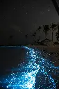 unsplash_Ob_fML_x3F0_Maldives.jpg.jpg.jpg.jpg.jpg.jpg.jpg.jpg.jpg.jpg.jpg.jpg.jpg.jpg.jpg.jpg.webp