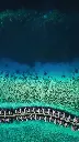 unsplash_LNjLQtd7hrw_Maldives.jpg.jpg.jpg.jpg.jpg.jpg.jpg.jpg.jpg.jpg.jpg.jpg.jpg.jpg.jpg.webp