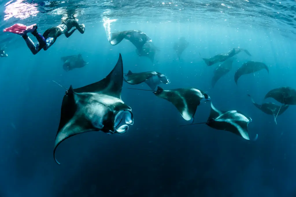 unsplash_F54xLcv9wQ0_Maldives.jpg.jpg.jpg.jpg.jpg.jpg.jpg.jpg.jpg.jpg.jpg.webp