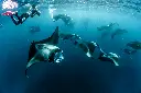 unsplash_F54xLcv9wQ0_Maldives.jpg.jpg.jpg.jpg.jpg.jpg.jpg.jpg.jpg.jpg.jpg.webp